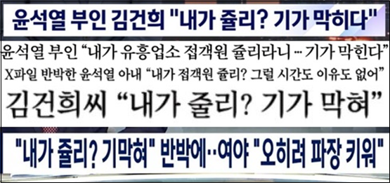 김건희 사생활 관련 보도 제목 모음.png