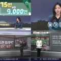 채널A와 TV조선.jpg