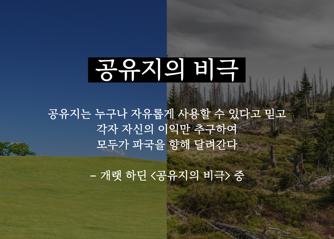 정연우-위원-원고-첨부사진-002.png